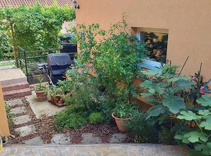 Casa vacanze Gabi Vendeghaz *